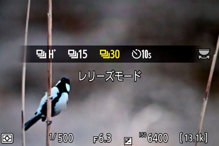 dqVb^[/JPEGL^́unCXs[ht[Lv`[+v́Aō30R}/b̒Aʂ\iunCXs[ht[Lv`[+v͉掿[hNORMALA摜TCYTCY LɌŒ肳j