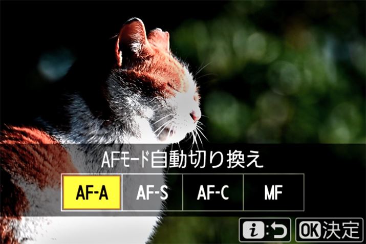 JIɃtH[JX[h؂ւuAF-Av𓋍ځBȂAuZ5IIv́uAUTO[hv́AݒŁuAF-AvIĂ