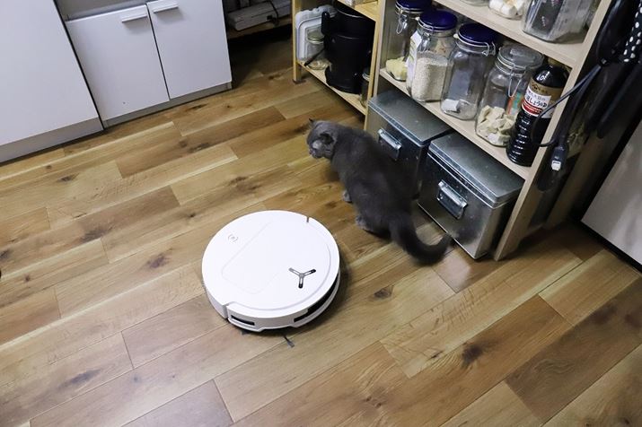 EEĂLɓ邩!? ƈunn܂Aƈꎞ~āǍɃ[gύXɂs܂BSI