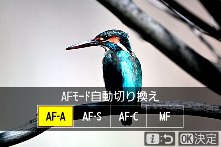 uZ5IIv́uAF-Av̗p\