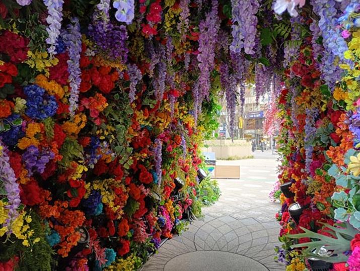 HDR蓭ăgl̒ƊOAÕƍČłĂ܂