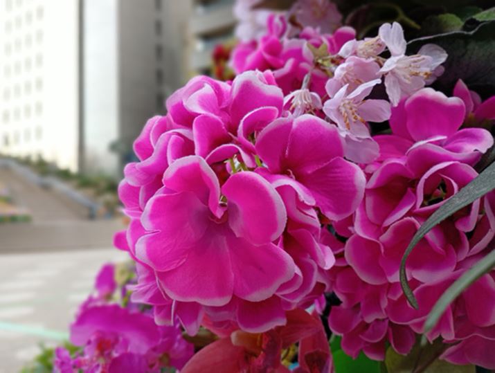 |[g[gŎBeBỎԁAԂ̉ԁẢԂŃ{PɈقȂĂ܂