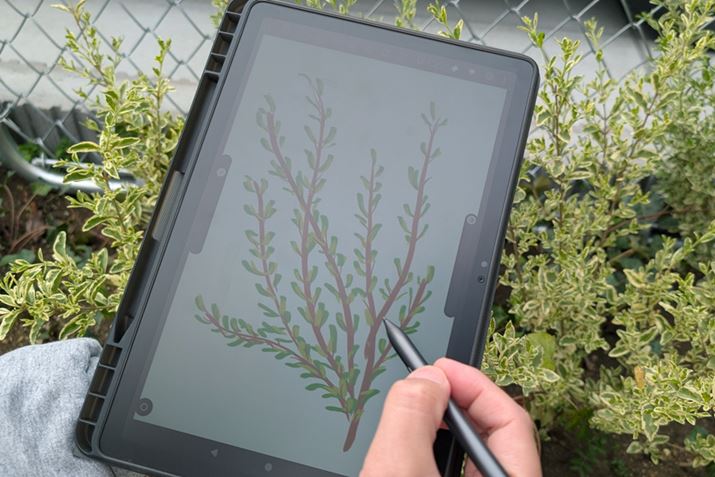 P[Xɂ́AyZbgł̂ŁAołygăTbƃXPb`ł