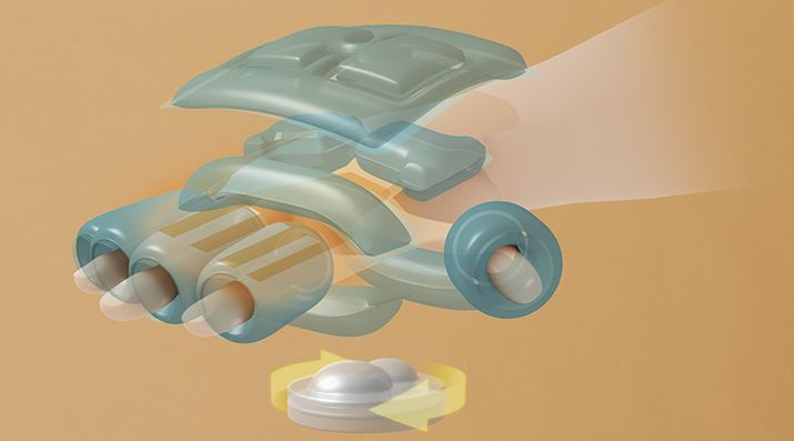 w1{Aw悩܂ŃJo[悤ɔzu21w̃GAobOƁÂЂp̂݋ʂŃ}bT[W܂