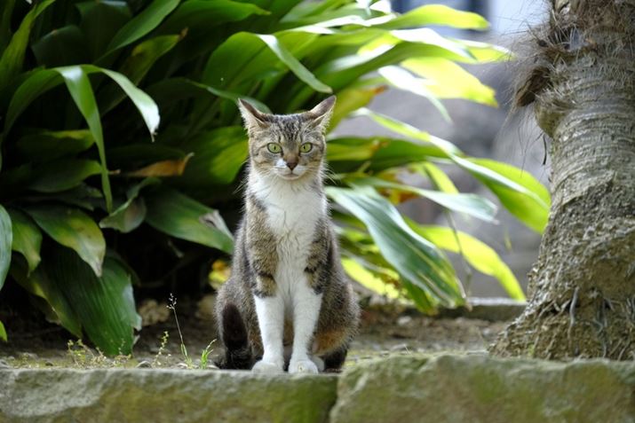 X-T4AXF55-200mmF3.5-4.8 R LM OISAF4.7A1/180bAISO1600A-0.3EVAzCgoXFI[gAtBV~[VFVelvia/rrbh