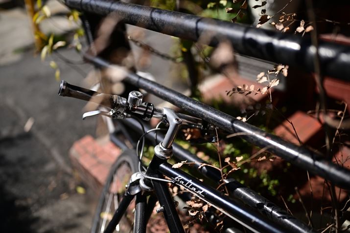 Z8ANIKKOR Z 35mm f/1.2 SAF1.2A1/6400bAISO100AzCgoXFVAsN`[Rg[FiBeʐ^i8256×5504A17.5MBj