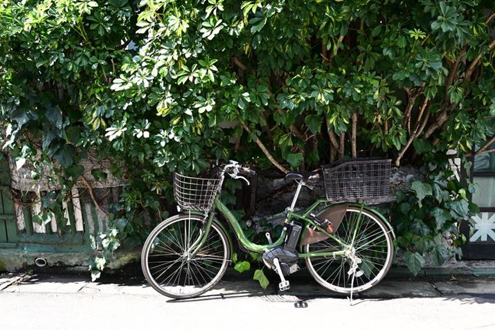 Z8ANIKKOR Z 35mm f/1.2 SAF5A1/60bAISO100AzCgoXFVAsN`[Rg[FiBeʐ^i8256×5504A30.2MBj