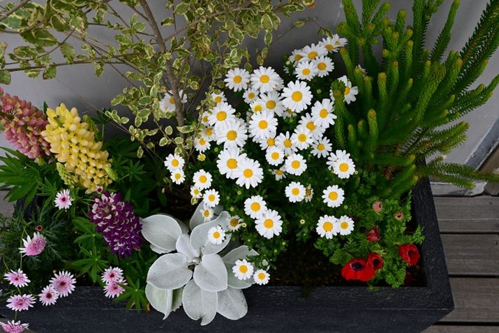 Z8ANIKKOR Z 35mm f/1.2 SAF16A1/125bAISO400AzCgoXFAUTO1AsN`[Rg[FrrbhBeʐ^i8256×5504A25.9MBj