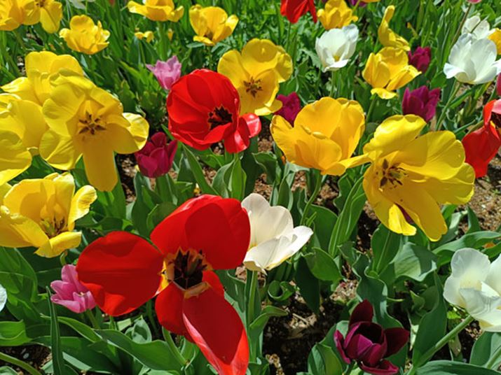 邢̉掿͏\B掿̌֒}Ă