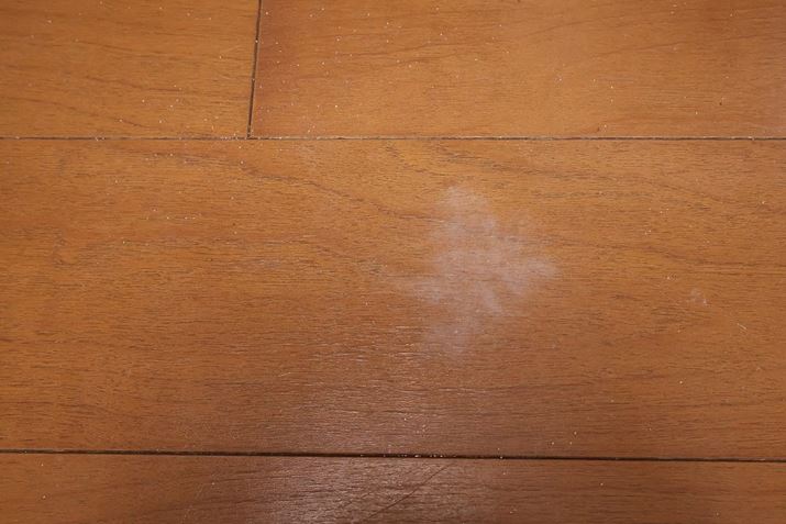 uWV515JviW[h{ANZT[Ȃjł̃eXgʁuAQC-SD1RvBJ[ThcĂ܂AuAQC-SD1Rv͏ȂAz͂̋Ă܂B̋́AȎȃS~z班ꂽꏊłzނقǁI