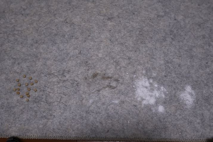 J[ybgł̃eXgł́At[Oł܂^S~ɉAۂ̔L̖тW߂̂܂Ă܂