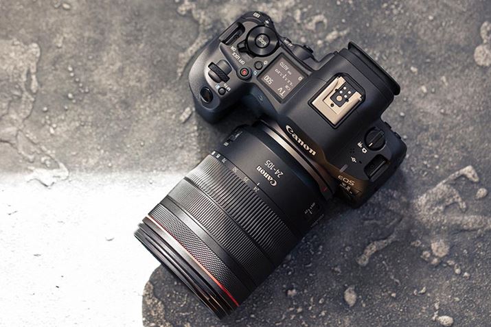 ̎BéALm̃tTCY~[XJuEOS R5 Mark IIvƕWY[YuRF24-105mm F4 L IS USMv̑gݍ킹ōs