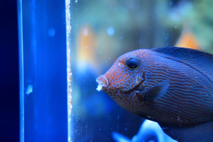 EOS R5 Mark IIARF24-105mm F4 L IS USMA105mmAF4A1/200bAISO3200AzCgoXFI[gAsN`[X^CFi