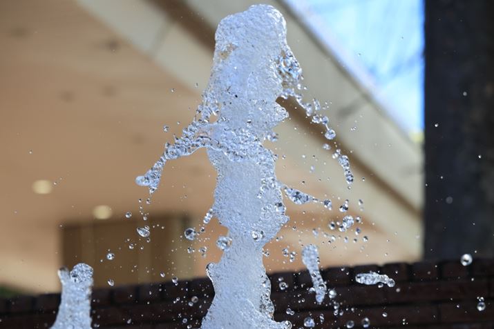 EOS R5 Mark IIARF24-105mm F4 L IS USMA105mmAF5A1/2000bAISO1600A+0.7EVAzCgoXFI[gi͋CDjAsN`[X^CFi