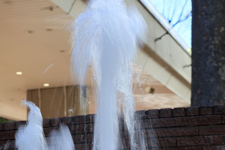 EOS R5 Mark IIARF24-105mm F4 L IS USMA105mmAF14A1/15bAISO100A+0.7EVAzCgoXFI[gi͋CDjAsN`[X^CFi