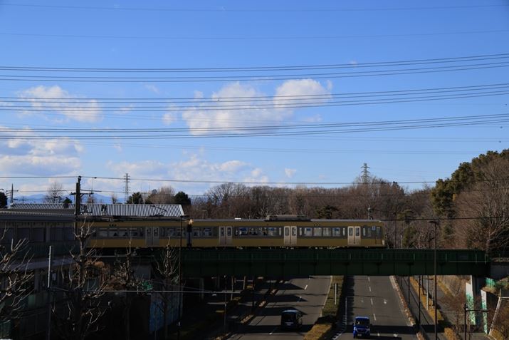 EOS R5 Mark IIARF24-105mm F4 L IS USMA67mmAF5.6A1/1000bAISO100A-0.3EVAzCgoXFI[gi͋CDjAsN`[X^CFi