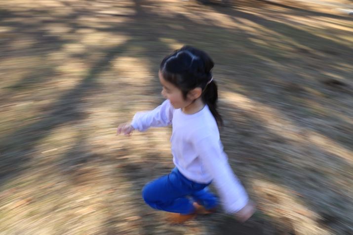 EOS R5 Mark IIARF24-105mm F4 L IS USMA29mmA}jAIoAF9A1/30bAISO125A-0.3EVAzCgoXFI[gi͋CDjAsN`[X^CFi