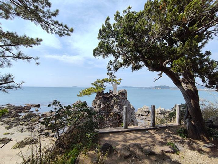 ZT[̓\j[B_ACۂ኱邭ʂ