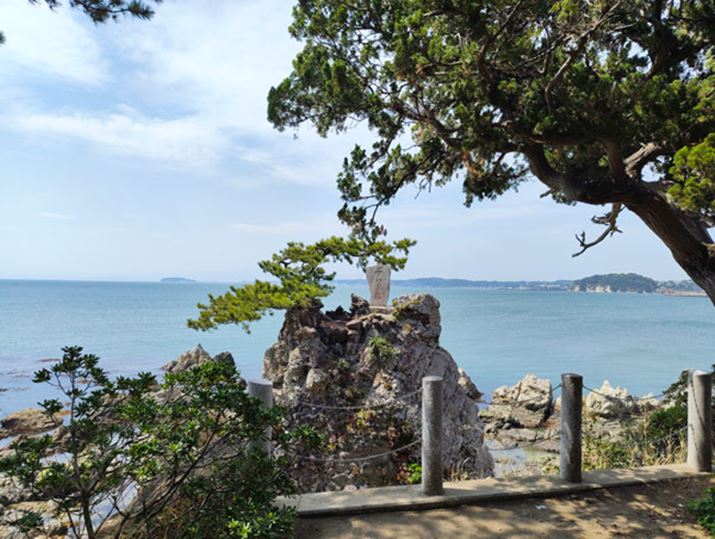 Ci1{jŎBeBZT[̓TXB邭N₩ȐFŎʂ