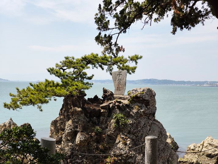 ZT[̓TXBRXgXg͋߂ALpэLpJƔׂƐFR