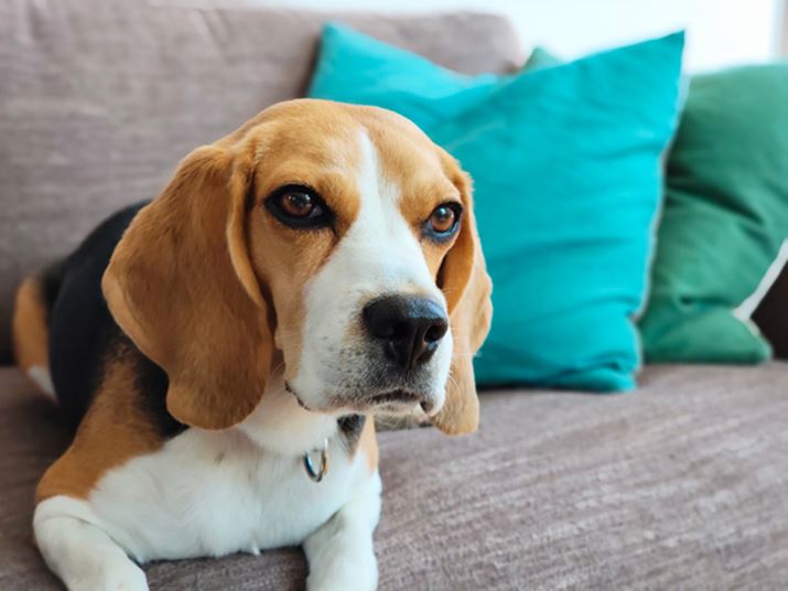 |[g[g[hg]J̌w2{Y[ŎBeBwi{P͒ł