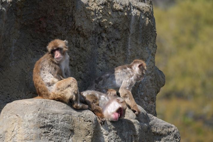 1 IIAFE 400-800mm F6.3-8 G OSSA400mmAF6.3A1/250bAISO100AzCgoXFI[gANGCeBubNFSTBeʐ^i8640×5760A14.1MBj
