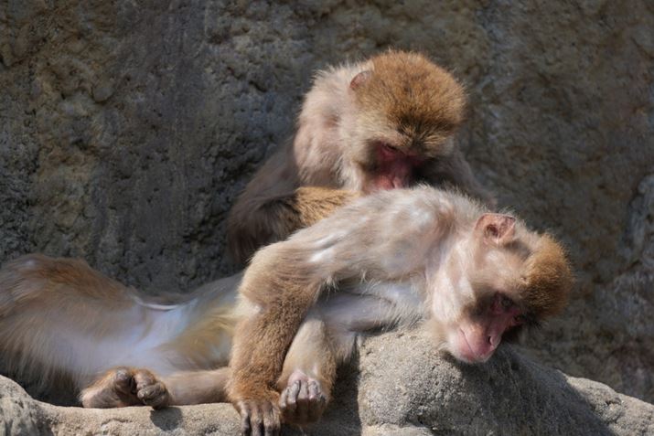 1 IIAFE 400-800mm F6.3-8 G OSSA800mmAF8A1/160bAISO100AzCgoXFI[gANGCeBubNFSTBeʐ^i8640×5760A12.8MBj