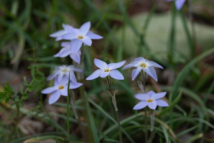 1 IIAFE 400-800mm F6.3-8 G OSSA400mmAF6.3A1/250bAISO400AzCgoXFI[gANGCeBubNFSTBeʐ^i8640×5760A8.7MBj