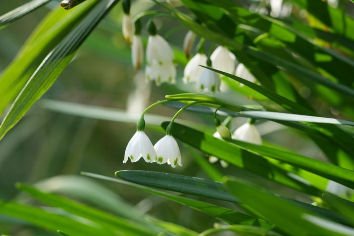 1 IIAFE 400-800mm F6.3-8 G OSSA1600mmAF9A1/160bAISO400AzCgoXFI[gANGCeBubNFSTBeʐ^i8640×5760A8.2MBj