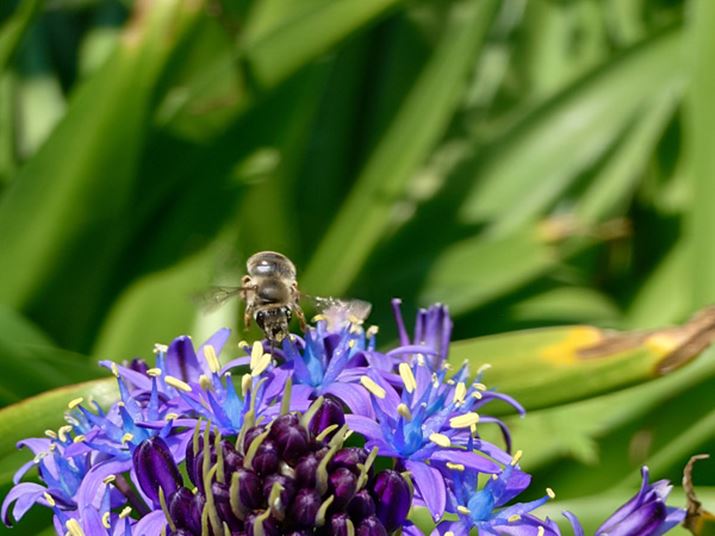 ]Jge}NBeBʑ̂Ƌۂ}NBeŝ͂BI[gtH[JX̐\ɍAX|X̌~co`ɂsg