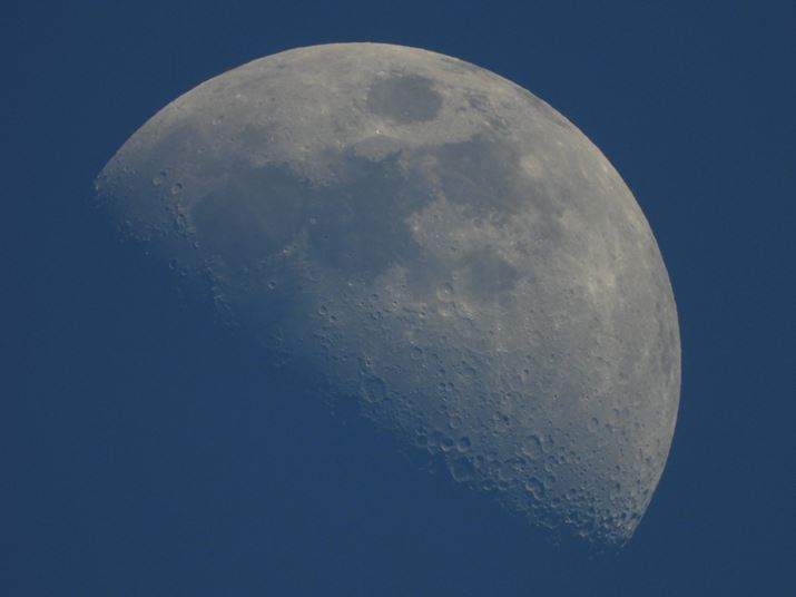 COOLPIX P1100A539mmi35mmZ3000mmjAF8A1/200bAISO500AzCgoXFI[gAsN`[Rg[FX^_[hBeʐ^i4608×3456A6.5MBj