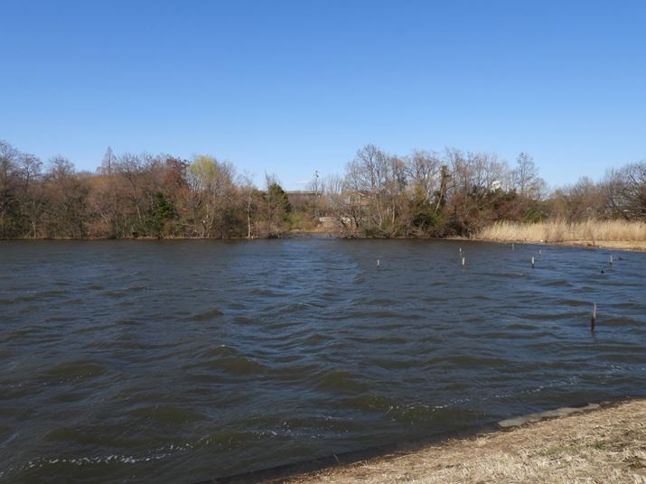 COOLPIX P1100A4.3mmi35mmZ24mmjAF5.6A1/500bAISO100AzCgoXFI[gAsN`[Rg[FX^_[hBeʐ^i4608×3456A5.9MBj