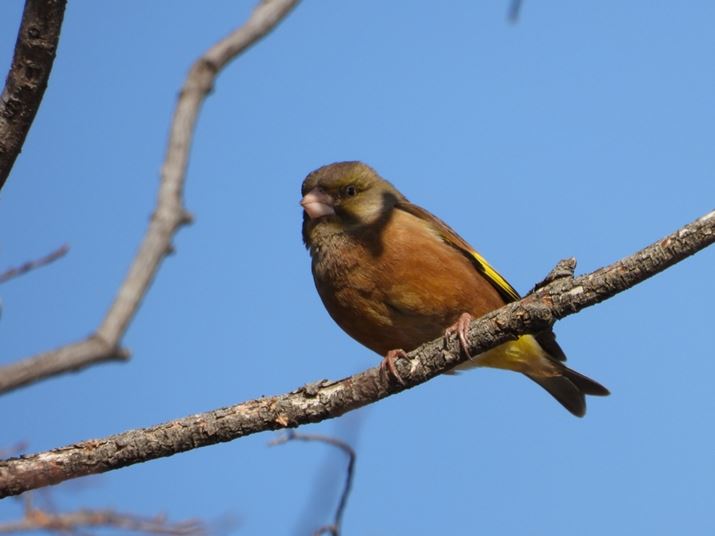 COOLPIX P1100A503mmi35mmZ2800mmjAF8A1/500bAISO200AzCgoXFI[gAsN`[Rg[FX^_[hBeʐ^i4608×3456A6.7MBj