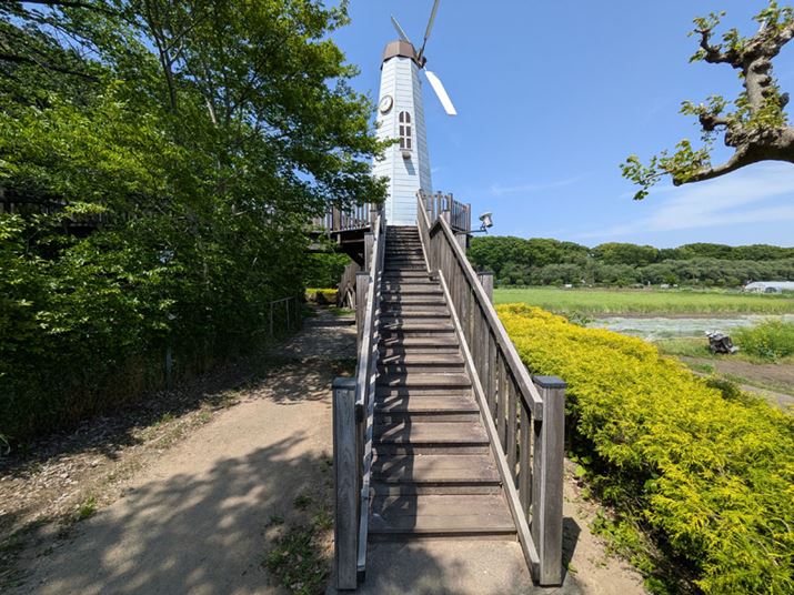 uPixel 9av͒LpJŃChȉp1Ɏ߂܂B́uiPhone 16evɂ͂Ȃł