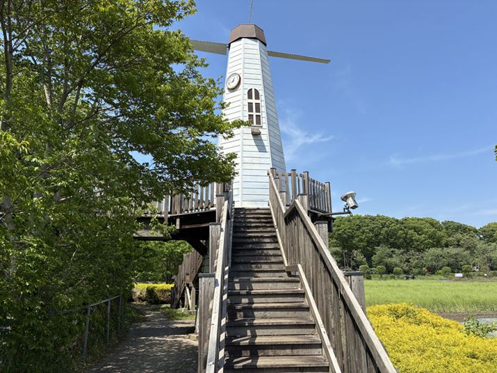 1{ŎBeiオuPixel 9avAuiPhone 16evj