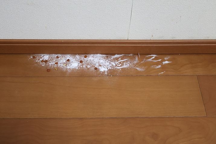 ǍۂɏdƃhCybgt[hAȃS~܂ĎcȂ