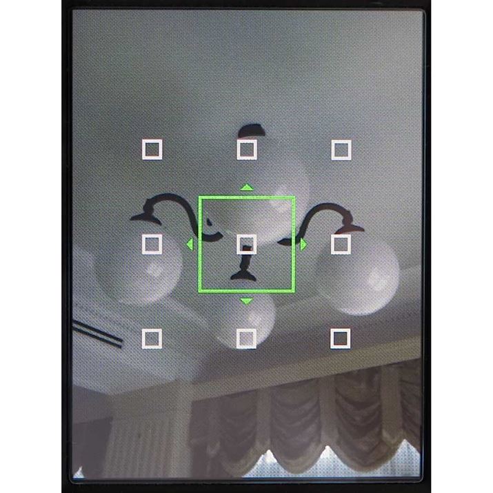 AFt[1_̃VO|CgdlŁAʒŒƃGAIi3×39_jpӂĂB̉摜̓GAỈʁBtH[JXg̃TCY͌ŒBtH[JX[h̓VOAFƃReBjAXAFIׂ