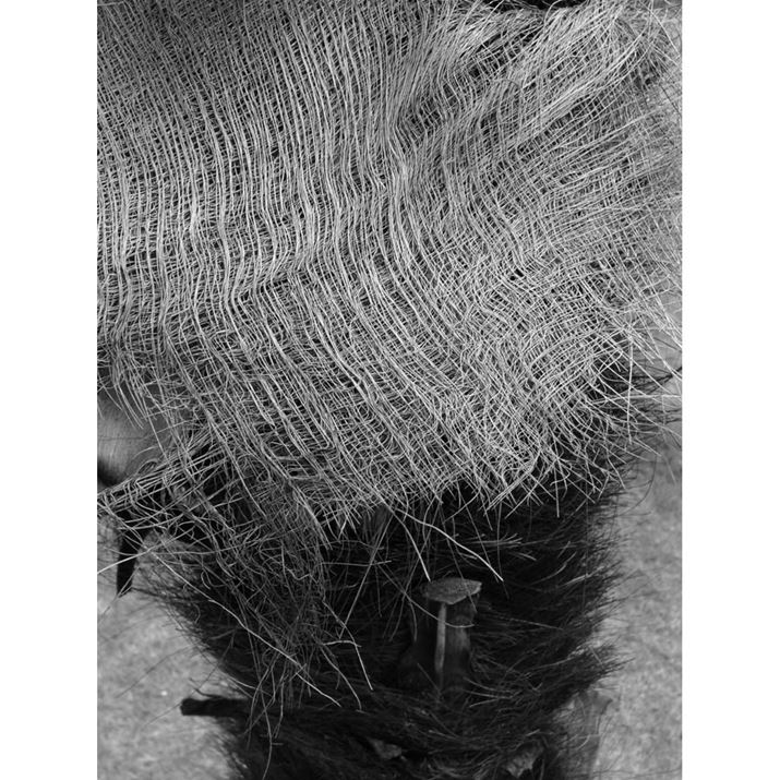 X halfA10.8mmi35mmZ32mmjAF2.8A1/125bAISO400AzCgoXFI[gAtBV~[VFACROSBeʐ^i3648×4864A8.9MBj