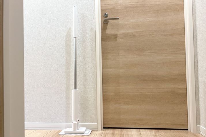 ̂ŁA|̓rɂƗĂĂɕ֗