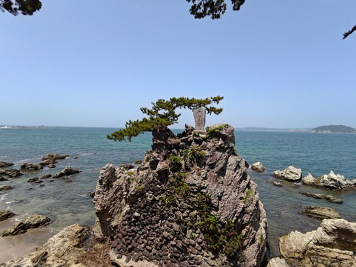 LpA]JƔׂăA_[CiÂ߁jB\}͉̒𑜊