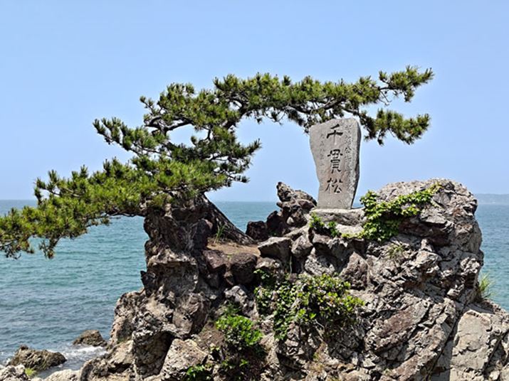 5000f̂AZT[̖1200f؂āAfW^Y[wY[̗򉻂̂Ȃ掿ŎBB