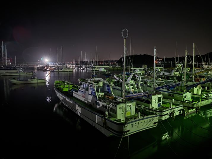 i̓oX̂悢RgXgɁBVb^[Xs[h1/5bƂȂ蒷߂ủe͂قڌȂB̌wu␳@\ʓÎ悤