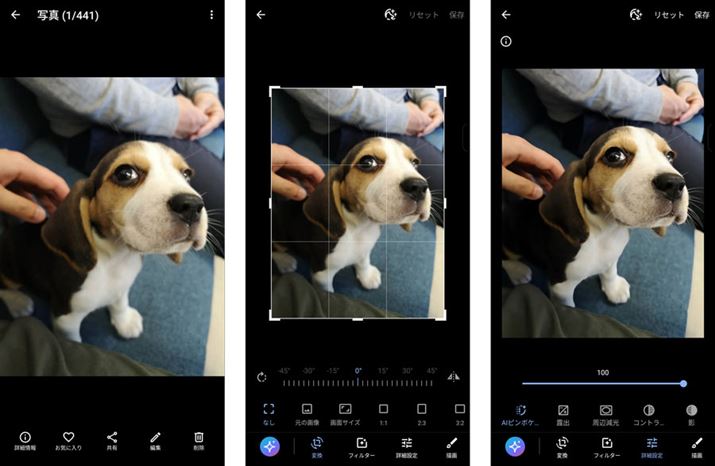 4NOɈɏ߂ĉۂɎBsgÂʐ^ANōRgXg̎ʐ^ɂ݂