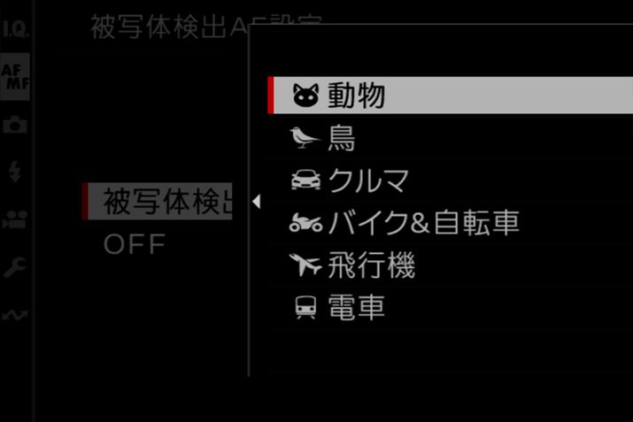 5foCX̗p鑼fƓlAuvui{jvuN}vuoCN]ԁvus@i{h[jvudԁv̔ʑ̌oɑΉ