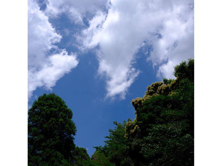 X-E5AXF23mmF2.8 R WRAAXyNg1F1AF4A1/1900bAISO125A-0.3EVAzCgoXFI[gAtBV~[VFVelvia/rrbhAJ[N[EGtFNgFAJ[N[ u[FAJPEGBeʐ^i5152×5152A13.4MBj