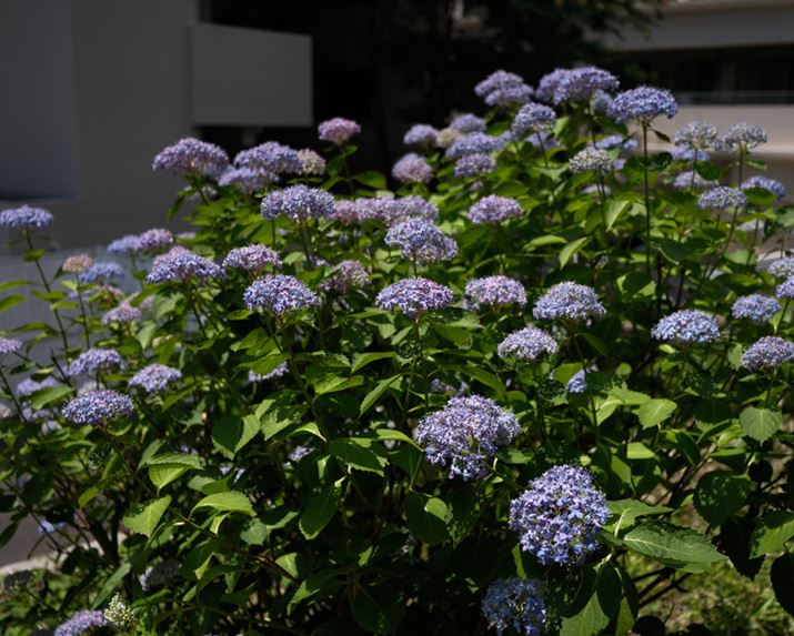 X-E5AXF23mmF2.8 R WRAAXyNg5F4AF2.8A1/2200bAISO125A-1.0EVAzCgoXFI[gAtBV~[VFREALA ACEAJ[N[EGtFNgFAJPEGBeʐ^i6432×5152A16.3MBj