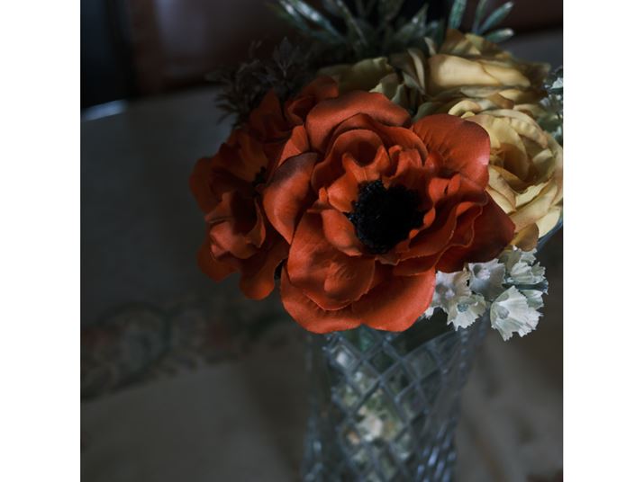 X-E5AXF23mmF2.8 R WRAAXyNg1F1AF2.8A1/15bAISO320A-1.3EVAzCgoXFI[gAtBV~[VFNVbNlKAJPEGBeʐ^i5152×5152A11.0MBj