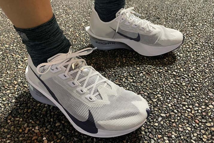 5̃eXgsł킩{̖͂Ƃ́H