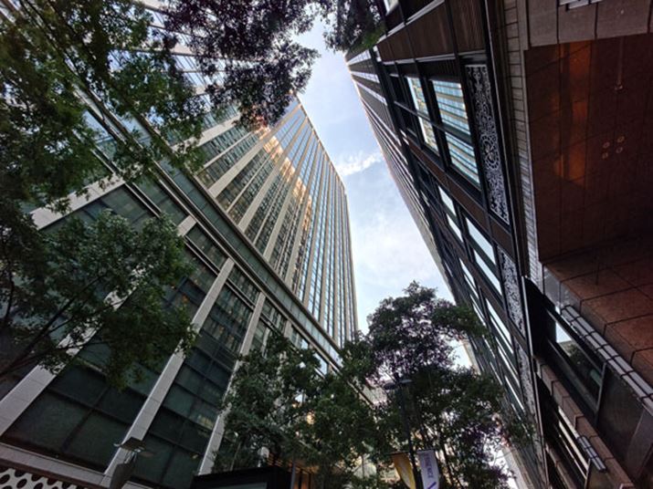 𑜊̂V[vȈۂ̎ʐ^B܂