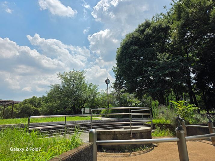 ʉE̖؉A̍Č͂ǍDBLpJƔׂ掿̓ꊴAnCGhƂƂ